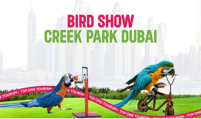 Bird Show Creek Park Dubai