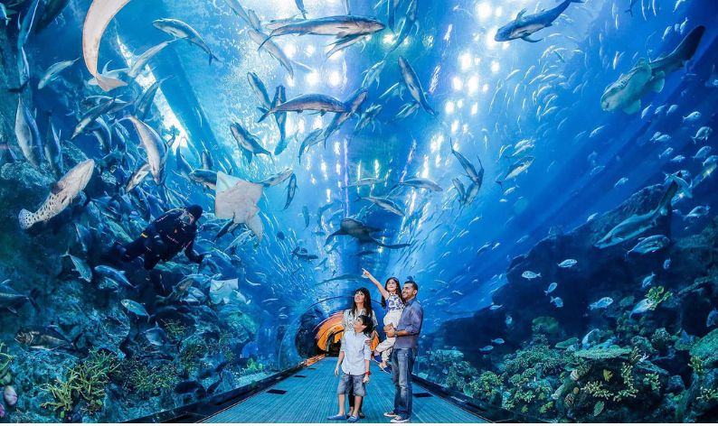 Dubai Aquarium & Underwater Zoo