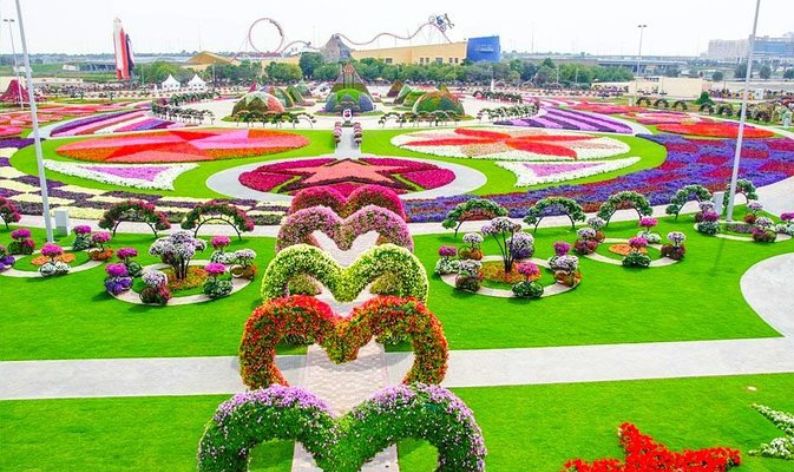Miracle Garden Dubai